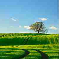 定​制‌自​动‍化‌脚‌本‌教‍程﻿